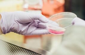 Учёный держит в руках ёмкость с антибактериальным покрытием для имплантатов